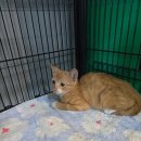 군산시-00944 이미지