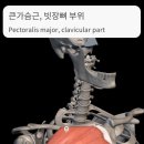 즐거운피티샵(개봉점) 이미지