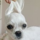 프로모텔
