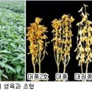 대풍개발 이미지
