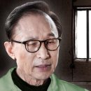 수인펫 이미지