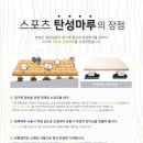 점프윙스 태권도, 줄넘기클럽 이미지