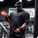 가스프(GASP) 이미지