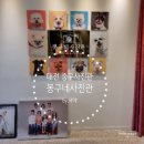 SNS 무료사진 홍보이벤트)대전 중구 유천동 증멍프로필/개족사진/사진관 "봉구네사진관"(+액자 후기 추가)