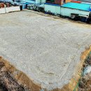 삼리로1 이미지