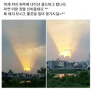 금돼지네 이미지