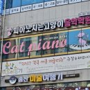 피아노치는고양이학원 이미지