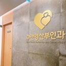 수앤영 이미지