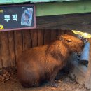 유나상사 | 여전히 내 안에 그대로 남아서