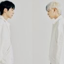 다비 티브이데일리
