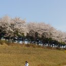 도림2호공원 이미지