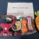 산내동물병원 | 해인사 고불암에서의 반려동물 천도재 후기