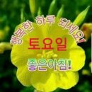 좋은글＞ 반외팔목(盤外八目)의 지혜 이미지