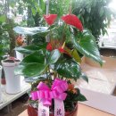 동광모터스 이미지