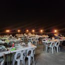 벌떡새우 이미지