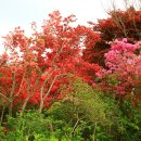고산의원 티스토리