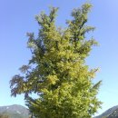 남도삼백리길(1코스) 이미지