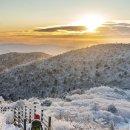 [제652차] 강원 태백 태백산 눈꽃산행 신청안내 (1월 25일 목요일) 이미지