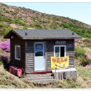 한라산 선작지왓 이미지