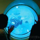 대국해저관광(주) 서귀포잠수함 이미지