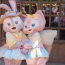 주식회사 빌리브 | [도쿄] 도쿄 디즈니씨&amp;디즈니랜드 완벽정복하기 (+한글 지도 첨부)