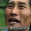모미랑 이미지