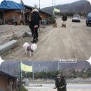 행원도예
