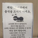 투래빗리드인학원 | 우리는 이다지도 막연히
