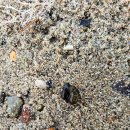 독립-20-01 이미지