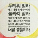 인애 이미지