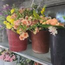 한아름 | [안동꽃집] 경북 안동 옥동 꽃다발 맛집 '한아름꽃집' 후기, 봄꽃 꽃말