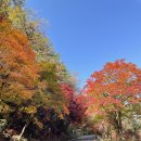 호명호수(제1주차장) 이미지