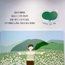 용궁장 | 춘천 근화동396, 비로소정원 팝업스토어 1차 후기