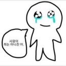 로그인투어 이미지