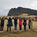 제주 기사투어