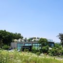 1494 | 시흥 브런치카페 햇살·루프탑·화덕피자까지 완벽한 몬테인