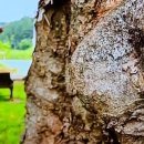 능골농장 이미지