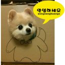 황남쫀드기