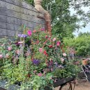 Petersham Nurseries Restaurant 후기 – 런던 리치먼드의 정원 속 미식 공간