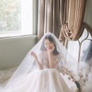 서정 이미지