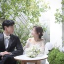 웨딩사설보정 아베크포토 솔직후기 보정강도 컨페티 합성