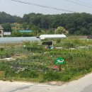 만춘농장 이미지