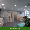 페테리안 | 하남동물병원 페테리안 동물병원 친절한 상담으로 유명한 곳의 이용 비용 안내