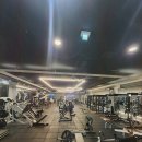 익스홀릭 가넷 이미지