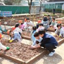 서울강남초등학교 이미지