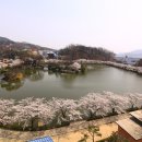 연화지 이미지