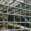 새들의천국 이미지