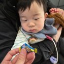 스타키즈소아청소년과의원 네이버블로그