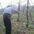 버팀목농원 이미지