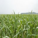 마인드휘트니스 인제점 이미지